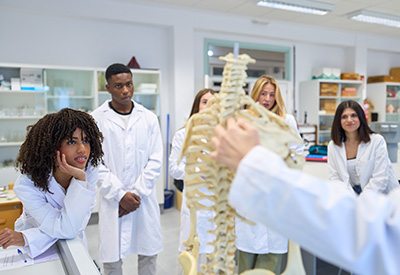 Healthcare students learning about anatomy with a skelaton